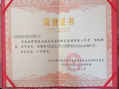 “云南省大理州政府防控工作领导小组指挥部”荣誉证书