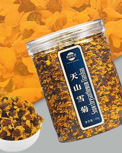 南京天山雪菊