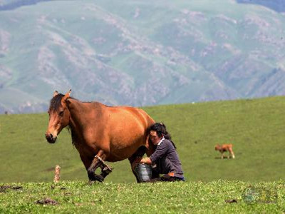 羊奶OEM加工介绍羊奶粉的冲调注意事项