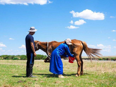駝奶廠家介紹駝奶粉品質(zhì)如何