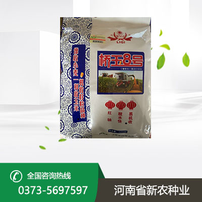 高产玉米种子