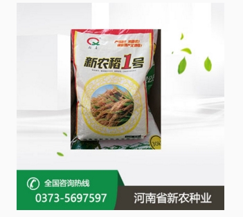 优质水稻种子