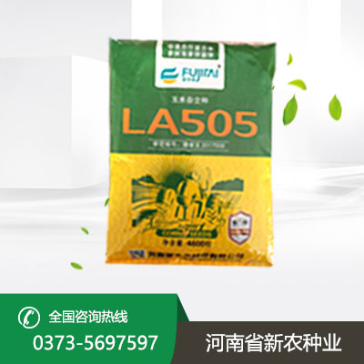 高产玉米种子