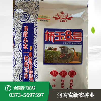 高产玉米种子