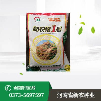 河南水稻种子 河南水稻种子