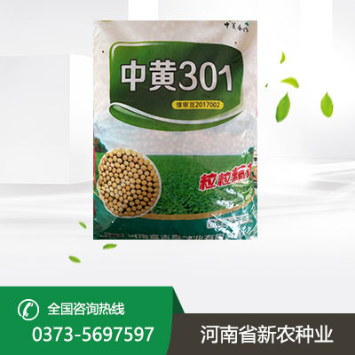 大豆种子 大豆种子