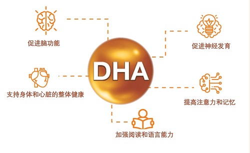  DHA和鱼肝油的作用和服用时间