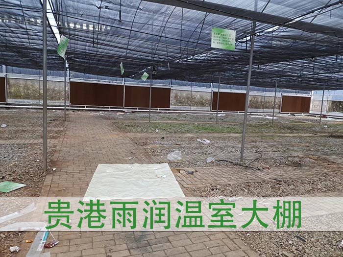 河池温室大棚建设找哪家