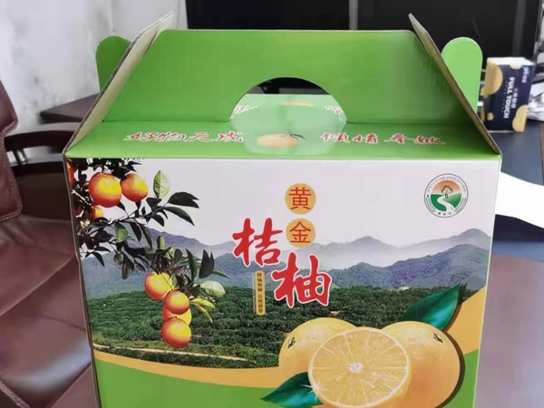 桂林水果纸箱