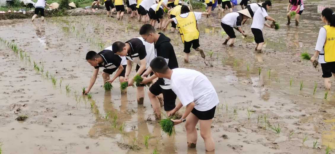 安顺劳动教育