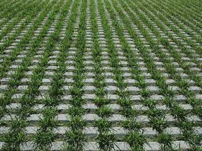 扬州草坪砖种类及选择和安装注意事项
