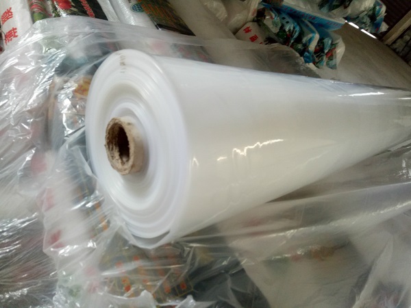 不同颜色遵义塑料薄膜对透光率和植物光合作用的影响