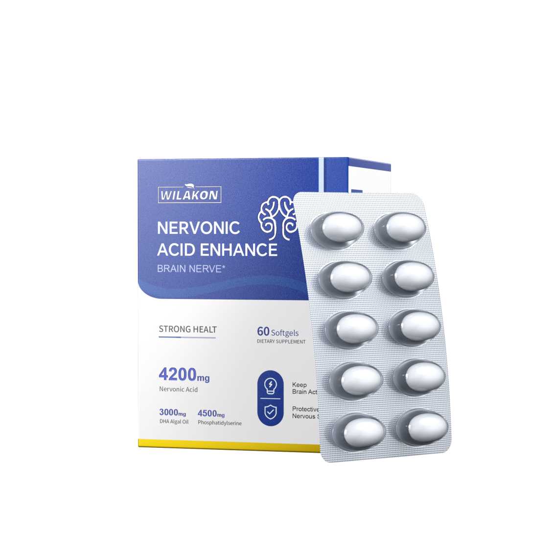 Reishi Mushroom Brain Enhancer